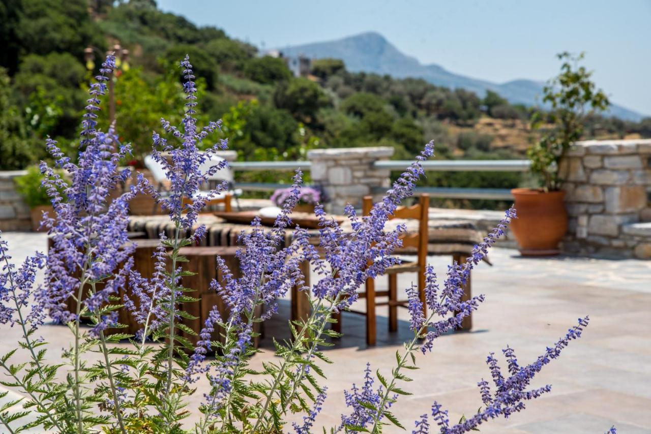 Elaiolithos - Luxury Villa Suites - Adults Only Khalkíon Eksteriør bilde